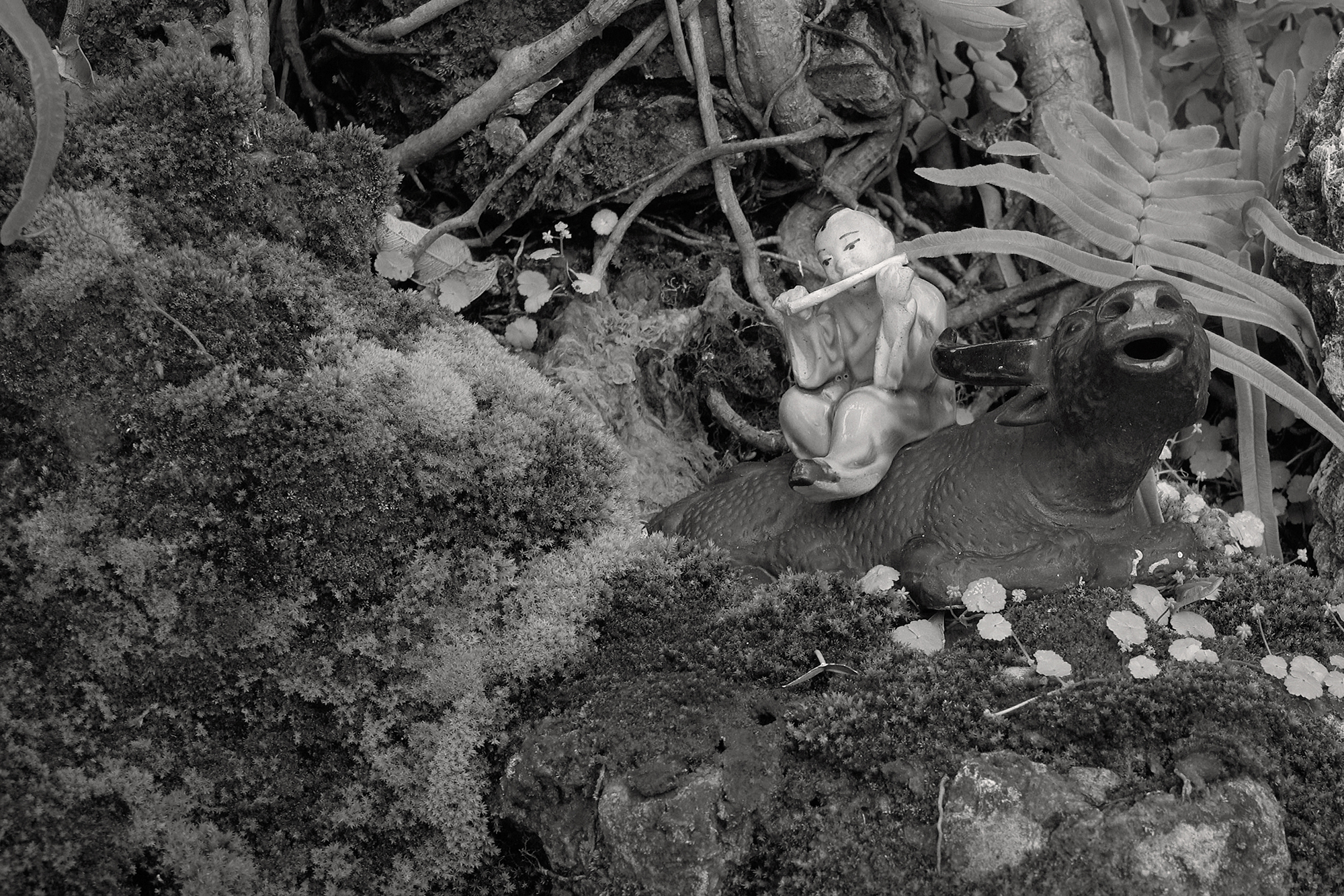 Christoph Radke, Vietnam, Hanoi, Literaturtempel